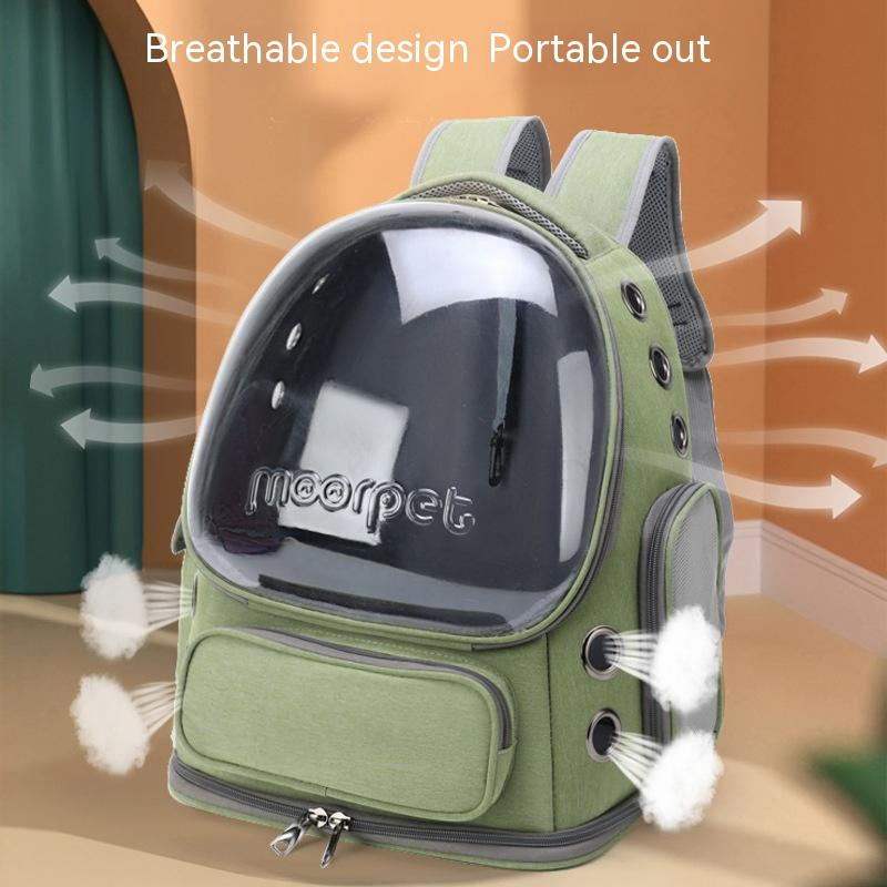 Transparent Cat Carrier Bag