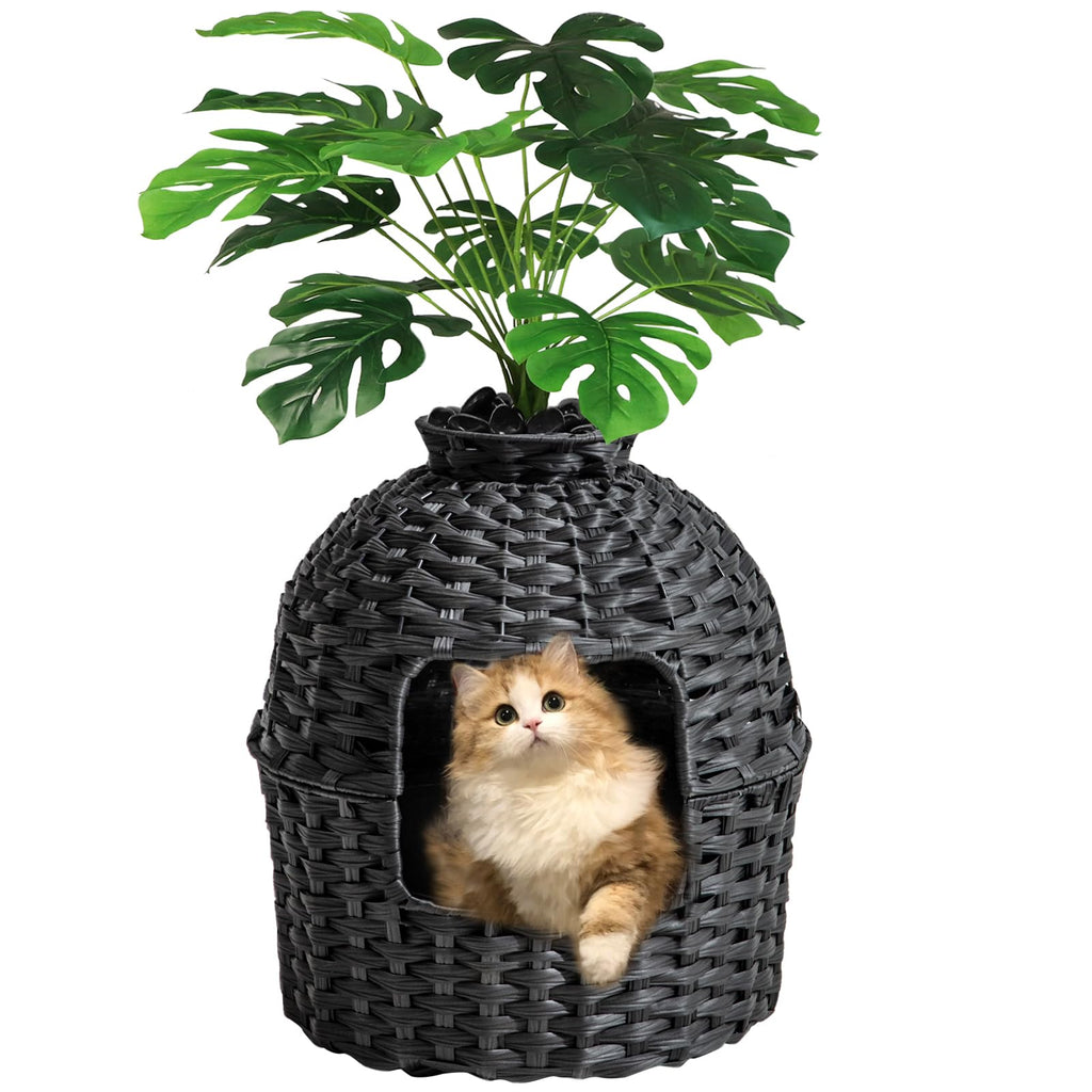 Enclosed Cat Litter Box