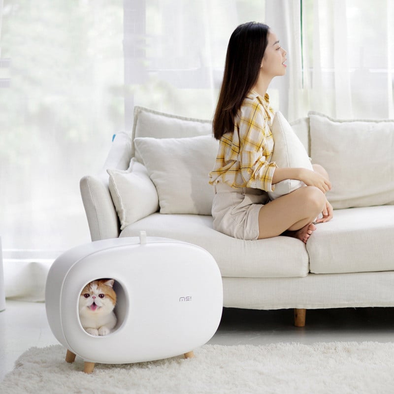 Cat Litter Box
