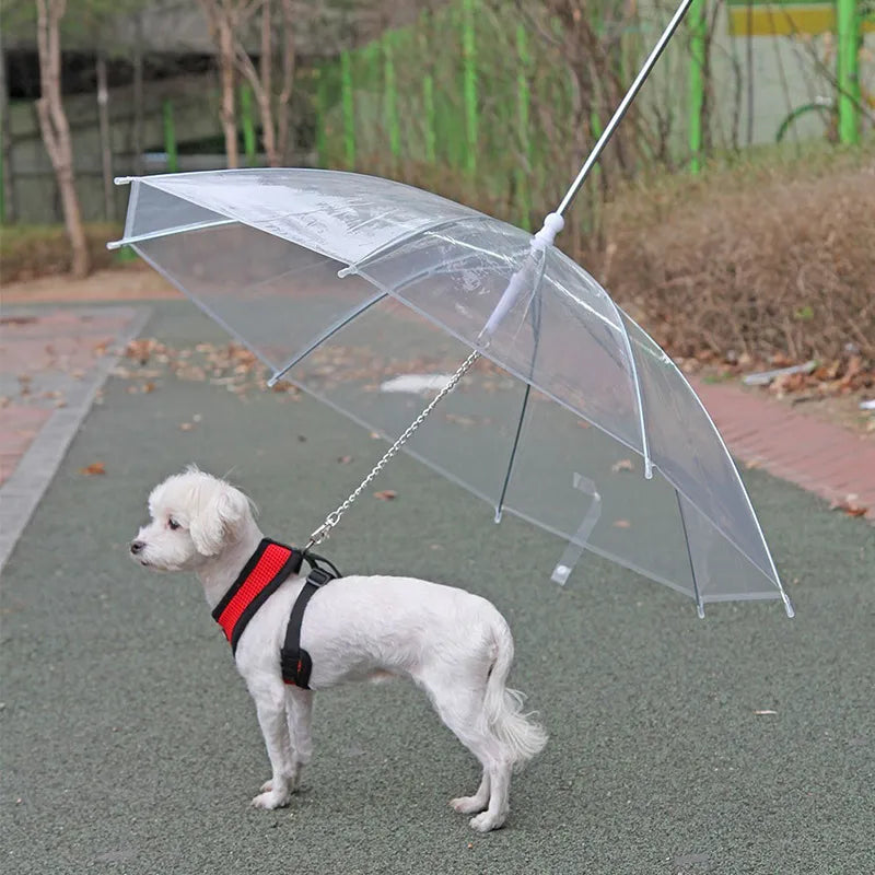 Chic Pup Rain Jacket & Leash Combo