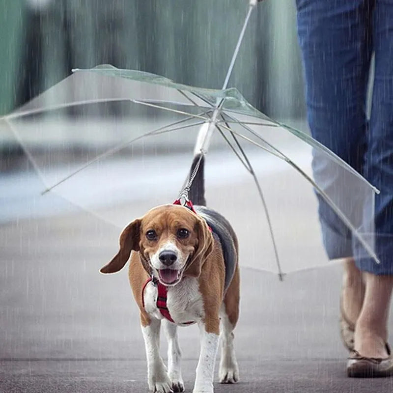 Chic Pup Rain Jacket & Leash Combo