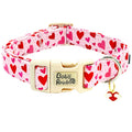 Rainbow Heart Valentine Dog Collar